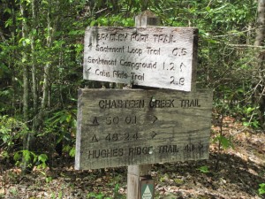 Chasteen Creek Trail – Smokies Guide