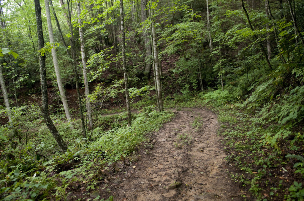 Indian Creek Motor Trail Smokies Guide